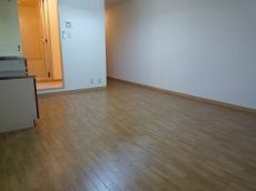 ���C�����n�C�c���ꉮ