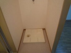 ���C�����n�C�c���ꉮ