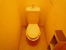 �V���[���]���ݗ�