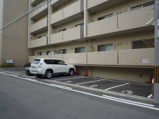 �t�@�~�[���t�^�o