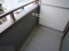 ���E�t�H���e�V������