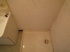 ���[�Y���C�t�Z�V�]