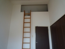 ���[�Y���C�t�Z�V�]