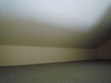 ���[�Y���C�t�Z�V�]