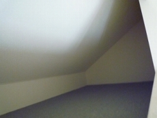 ���[�Y���C�t�Z�V�]