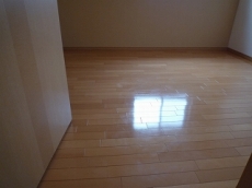 �p�[�N���B���Z�g���