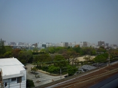 �p�[�N���B���Z�g���