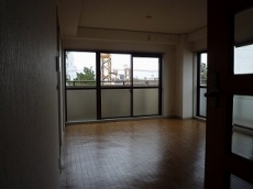 �E�B���f�B�q���Y��ˎR