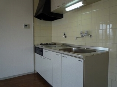 �E�B���f�B�q���Y��ˎR