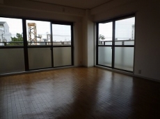 �E�B���f�B�q���Y��ˎR