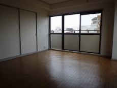 �E�B���f�B�q���Y��ˎR