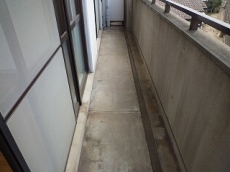 �E�B���f�B�q���Y��ˎR