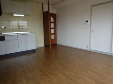 �E�B���f�B�q���Y��ˎR