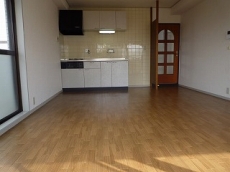 �E�B���f�B�q���Y��ˎR