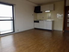 �E�B���f�B�q���Y��ˎR