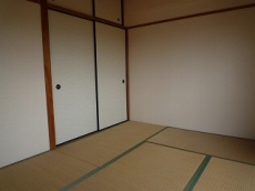 �E�B���f�B�q���Y��ˎR