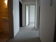 �E�B���f�B�q���Y��ˎR