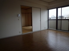 �E�B���f�B�q���Y��ˎR