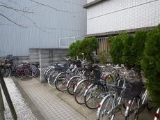 �E�B���f�B�q���Y��ˎR