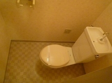 �E�B���f�B�q���Y��ˎR