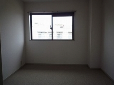 �E�B���f�B�q���Y��ˎR