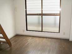 ���t�e�B�ݗ�