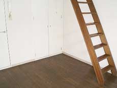 ���t�e�B�ݗ�