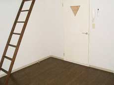 ���t�e�B�ݗ�