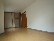 ����X�؃}���V����