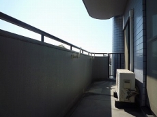 �ۉ̓p�[�N�V�e�B�n�C�c