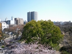 �ۉ̓p�[�N�V�e�B�n�C�c