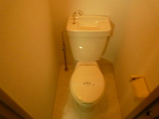 �A�x�j���[�ݗ�