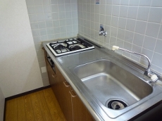 �T���v���U�ʏo