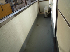 �A�K�}���V�����p�[�g�U