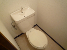 �A�K�}���V�����p�[�g�U