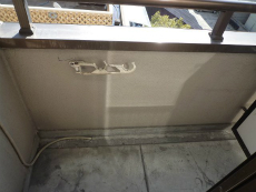 ���K�[���ʏo