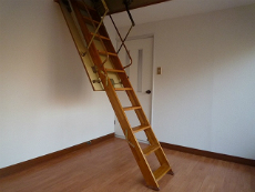 �l����1���ڑ݉�