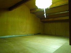 �l����1���ڑ݉�