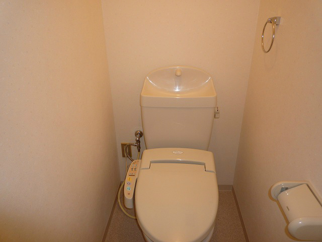 �J�[�U�[�ݗ�