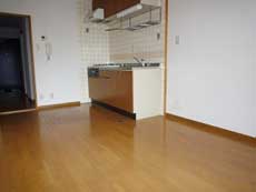 �T���f�B�O�m��ˎR