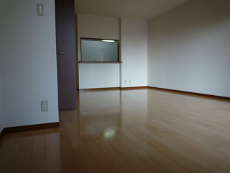 �T�j�[�R�[�g�V�_�m�X