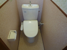 �n�C���A�T�_