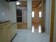 �n�C���A�T�_