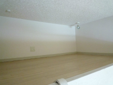 �O�������t�g�ʏo