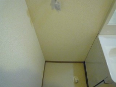 �t�W�p���X�k���ꉮwest