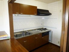 �V���g�[�ʏo