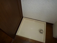 �V���g�[�ʏo