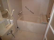 �V���g�[�ʏo