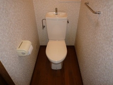 �V���g�[�ʏo