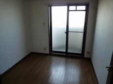 �V���g�[�ʏo